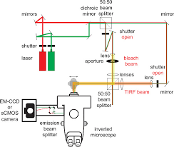 single molecule fluorescence microscopy