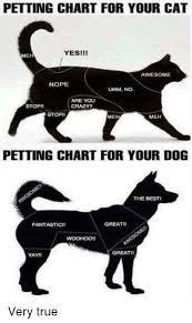 Petting Chart For Your Cat Yesiii Me Awesome Nope Umm No Are