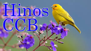 Ccb brasil (ccb) hinos e testemunhos da congregação cristã no brasil. Hinos Ccb 2020 2 Horas De Belos Hinos Ccb Hinario 5 Cantados Youtube
