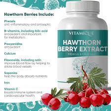 hawthorn berry extract hibiscus olive