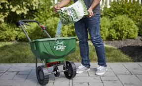 How To Grow Grass The Home Depot
