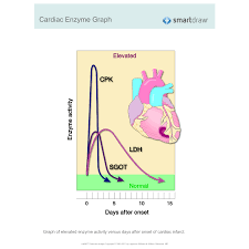 Cardiac Enzyme Graph
