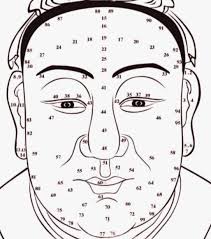 Face Reading Free Chinese Physiognomy Techniques To Know