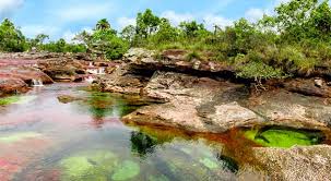 Before caño cristales, i thought rainbow rivers were only in three years old kids' imagination, with how to visit caño cristales: Cano Cristales El Rio Mas Lindo Del Mundo