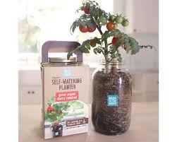 Affordable Self Watering Planter Lets