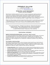 10 Project Executive Summary Example Resume Samples