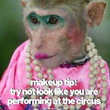 makeup memes 20 laughs at cosmetics