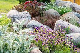 A simple rock garden design can echo natu. How To Build A Rockery Decorative Aggregates