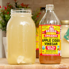 apple cider vinegar honey garlic and