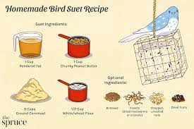 how to make homemade bird suet 6