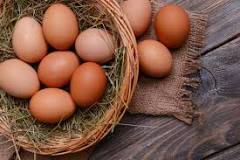 Comment savoir si un œuf est bio ?
