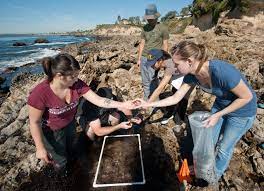 awarded grant to study tide pools