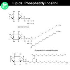 phosphatidylinositol chemical structure