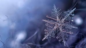 hd wallpaper snowflake blue frost