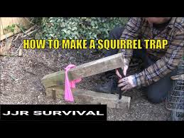 how to make a squirrel trap you