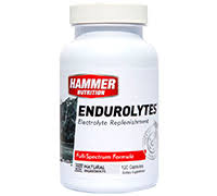 hammer nutrition gels endurance