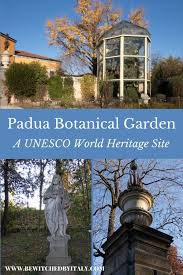 visiting the padua botanical garden a