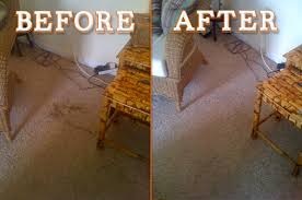 carpet cleaning in delaware maryland