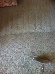 removing the dust and dirt from carpets
