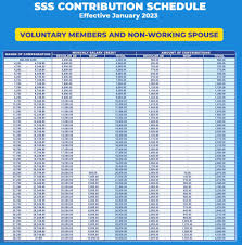 sss voluntary members contribution