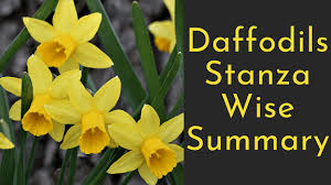 daffodils stanza wise summary wittychimp