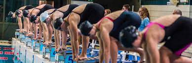 24 ncaa women s swimming recruiting