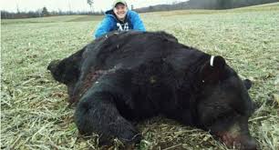 Here Are 13 Of The Biggest Black Bears Ever Hunted