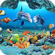 fish live wallpaper 3d for pc free