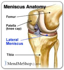 lateral meniscus