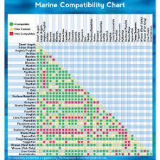 marine animal compatibility chart