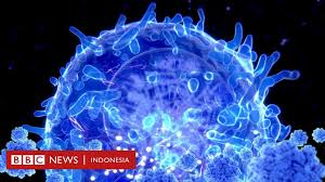 Coronavirus merupakan keluarga besar virus yang menyebabkan penyakit pada. Covid 19 Mengungkap Rahasia Orang Orang Yang Kebal Terhadap Virus Corona Bbc News Indonesia