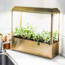 kitchen garden growhouse