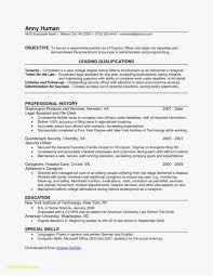 Federal Resume Builder Inspirational Resume Builder Free Print