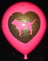 pink victoria secret victorias dog