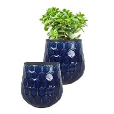 Cobalt Blue Ceramic Indoor Pot