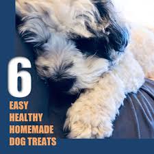 6 easy homemade dog treats recipes my