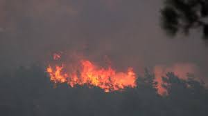 Marmaris'te 1028 hektarlık orman alanı kül oldu! Yangın sürüyor! -  Dokuz8haber