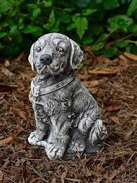 Patterdale Terrier Concrete Beagle Dog