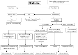 Flow Chart Of Snakebite Management In Children From The