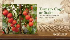 tomato cage or stake your guide to