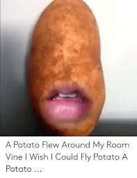 Discover the latest breaking news in the u.s. Guru Pintar A Potato Flew Around My Room A Potato Flew Around My Room Writing It Out A Tornado Flew Around My Room Before You Came Being The First Giving
