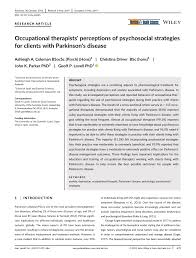 occupational thes perceptions of