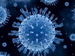 Viruss, thành phố hồ chí minh. Viruses What Are They And What Do They Do