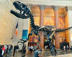 American Museum of Natural History w Nowym Jorku