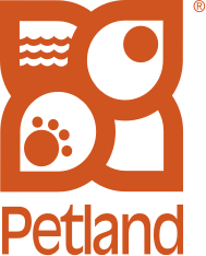 Find dachshund puppies and breeders in your area and helpful dachshund information. Dachshund Puppies Petland Kansas City