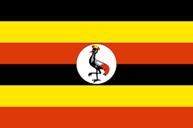 Image result for uganda government
