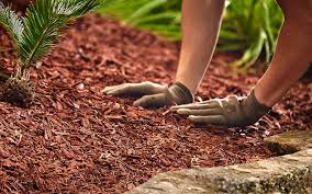 best mulch for your yard the