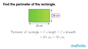 Perimeter of a Rectangle - YouTube