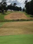 Greer Golf - Yes- the fairway and tee box grass on the back ...