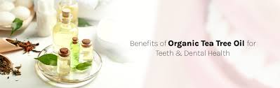 benefits of organic tea tree oil for teeth